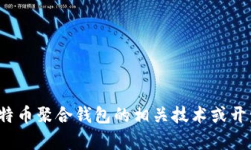 很抱歉，我无法提供比特币聚合钱包的源码。如果你需要了解比特币聚合钱包的相关技术或开发知识，我可以为你提供一些信息和建议。请告诉我如何帮助你！